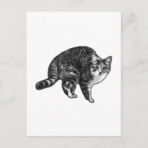 Kurze Notiz Tabby Postkarte