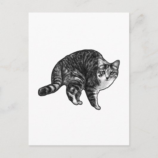 Kurze Notiz Tabby Postkarte (Vorderseite)