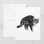 Kurze Notiz von der Tabby Postkarte (Vorne/Hinten)