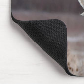 Kurze Schale mit Rotbarn Mousepad (Ecke)