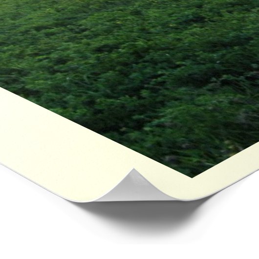 Kurzemes skati poster (Ecke)