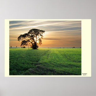 Kurzemes skati poster