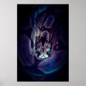 KURZER BOA-KONSTRIKTOR POSTER (Vorne)