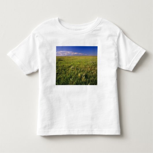Kurzer Grass Prairie im äußersten Nordosten Kleinkind T-shirt (Vorderseite)