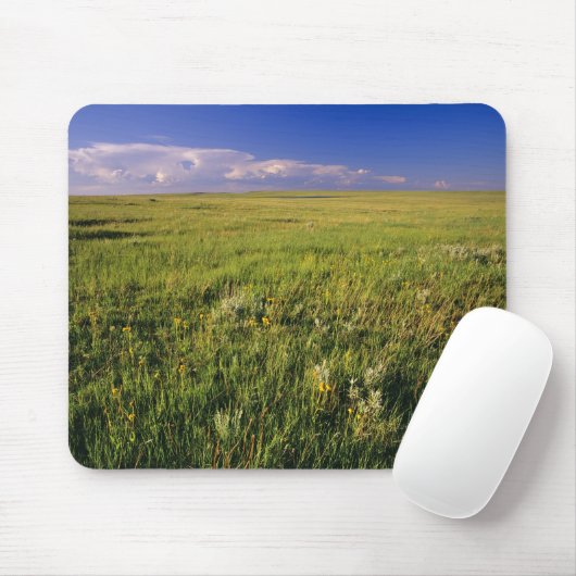 Kurzer Grass Prairie im äußersten Nordosten Mousepad (Mit Mouse)