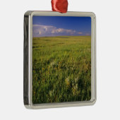Kurzer Grass Prairie im äußersten Nordosten Silbernes Ornament (Rechts)