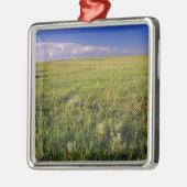 Kurzer Grass Prairie im äußersten Nordosten Silbernes Ornament (Links)