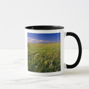Kurzer Grass Prairie im äußersten Nordosten Tasse