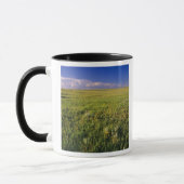 Kurzer Grass Prairie im äußersten Nordosten Tasse (Links)