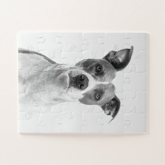 Kurzer Hufhund in Graustufen (schwarz und weiß) Puzzle (Horizontal)