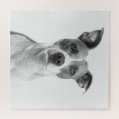 Kurzer Hufhund in Graustufen (schwarz und weiß) Puzzle (Horizontal)