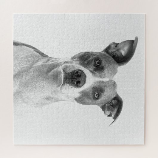 Kurzer Hufhund in Graustufen (schwarz und weiß) Puzzle (Horizontal)