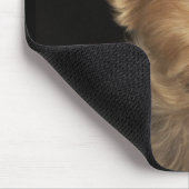 Kurzer Yorkie-Hund, der rechts sucht Mousepad (Ecke)