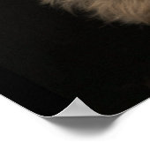 Kurzer Yorkie-Hund, der rechts sucht Poster (Ecke)