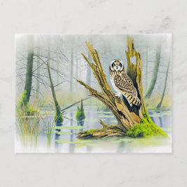 Kurzes Eule auf Baumstumpf Feiertagspostkarte