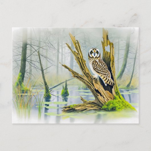 Kurzes Eule auf Baumstumpf Feiertagspostkarte (Vorderseite)