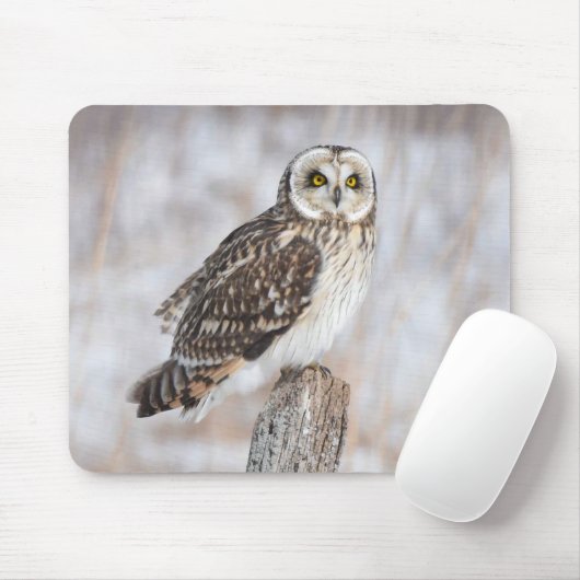 Kurzes Owl Mousepad (Mit Mouse)