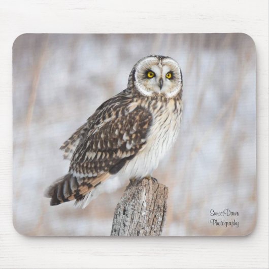 Kurzes Owl Mousepad (Vorne)