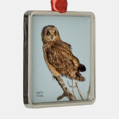 Kurzes Owl Ornament Aus Metall (Rechts)