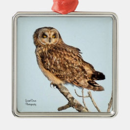 Kurzes Owl Ornament Aus Metall