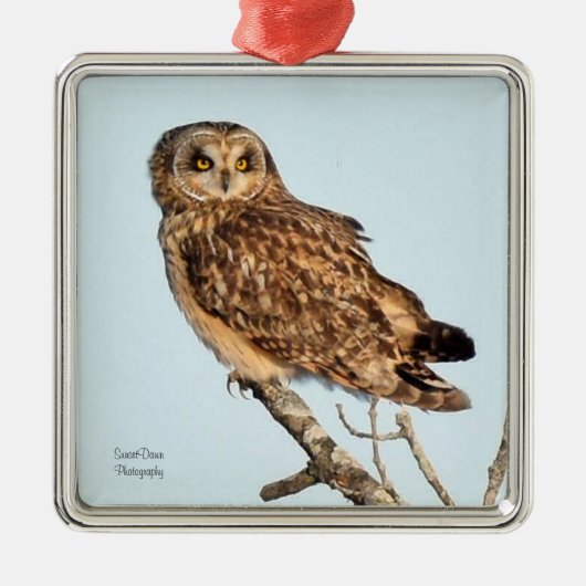 Kurzes Owl Ornament Aus Metall (Vorne)