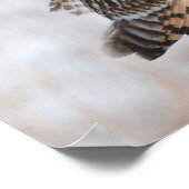 Kurzes Owl Poster (Ecke)