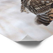 Kurzes Owl Poster (Ecke)