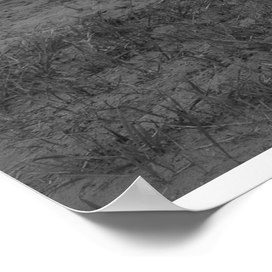 kurzes Poster (Ecke)