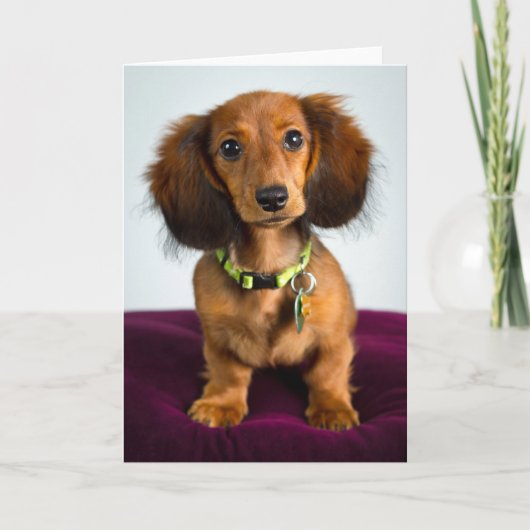 Kurzes Zeug Karte (Vorderseite)