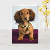 Kurzes Zeug Karte (Gelbe Blume)