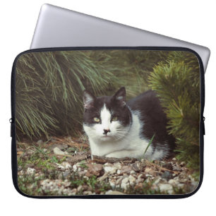 Kurzfristige Katze - Beutel Laptopschutzhülle