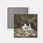 Kurzfristige Katze - Magnet (Vorderseite/Rückseite)