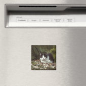 Kurzfristige Katze - Magnet (In Situ (Geschirrspüler))