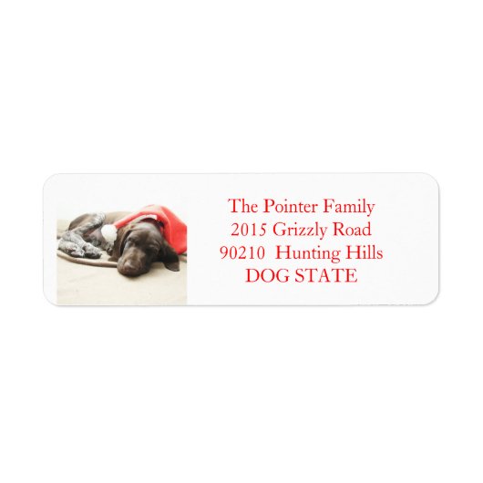 Kurzfristiges Pointer Holiday Address Label (Vorne)
