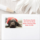 Kurzfristiges Pointer Holiday Address Label (Insitu)