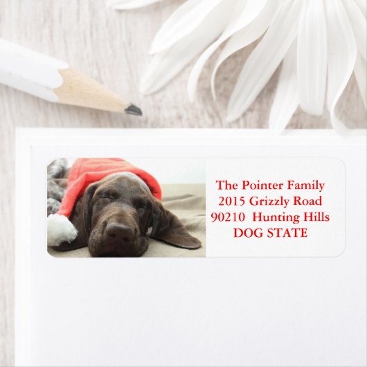 Kurzfristiges Pointer Holiday Address Label (Insitu)