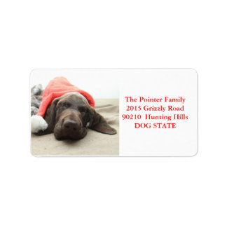 Kurzfristiges Pointer Holiday Address Label Adressaufkleber