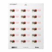 Kurzfristiges Pointer Holiday Address Label Adressaufkleber (Vorne)