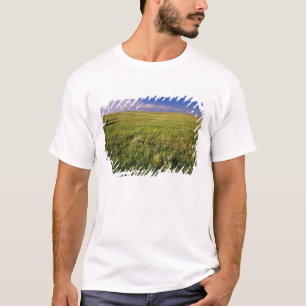 Kurzgrasprärie im abgelegenen Nordosten T-Shirt