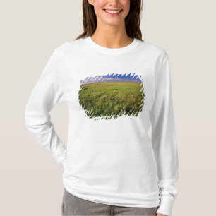 Kurzgrasprärie im abgelegenen Nordosten T-Shirt