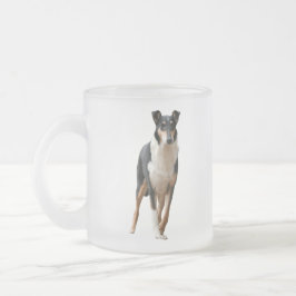 Kurzhaar Collie Mattglastasse