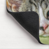 Kurzhaar, Katze, Haustier Mousepad (Ecke)