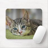 Kurzhaar, Katze, Haustier Mousepad (Mit Mouse)