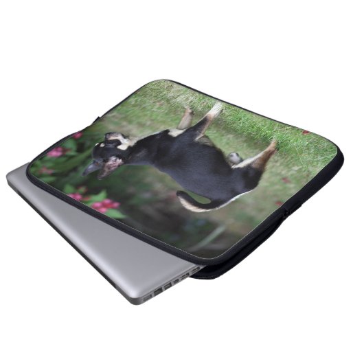 Kurzhaariger Chihuahua stehend Laptopschutzhülle (Vorne Knopf)