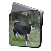 Kurzhaariger Chihuahua stehend Laptopschutzhülle (Vorderseite Links)