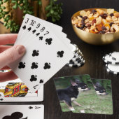 Kurzhaariger Chihuahua stehend Spielkarten (In Situ)