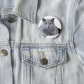 Kurzhaarkatze Button (Beispiel)
