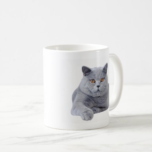 Kurzhaarkatze Kaffeetasse (VorderseiteRechts)