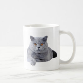 Kurzhaarkatze Kaffeetasse