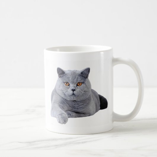 Kurzhaarkatze Kaffeetasse (Rechts)